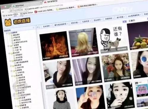 2018色视频在线观看,在线观看必看佳作